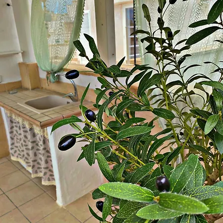 Essential 度假居 *